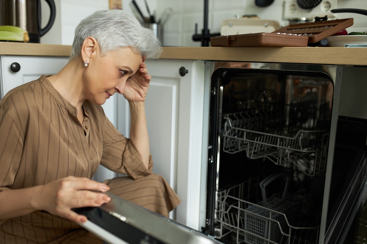 Dishwasher strange noises repair Cape Town